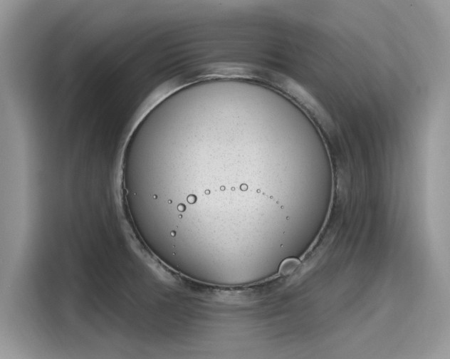 X0000116111378200911301114