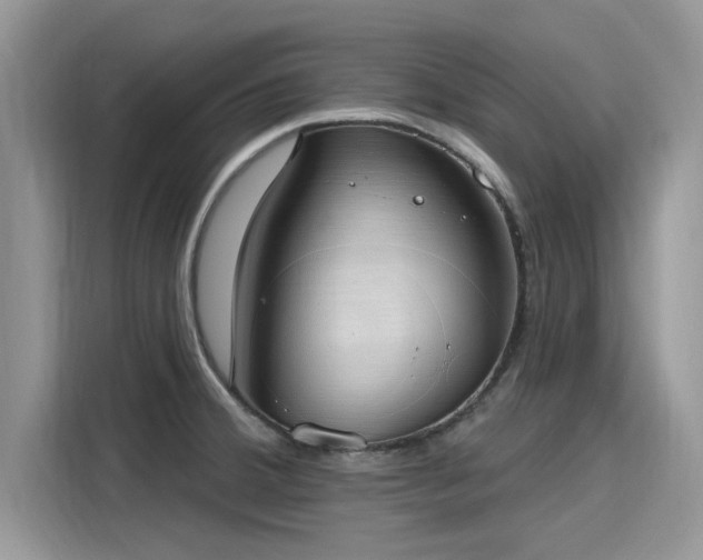 X0000116111380200911301114