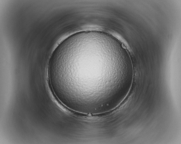 X0000116111383200911301114