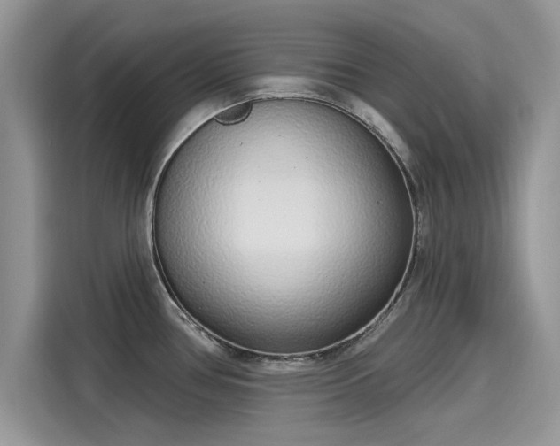 X0000116111386200911301114