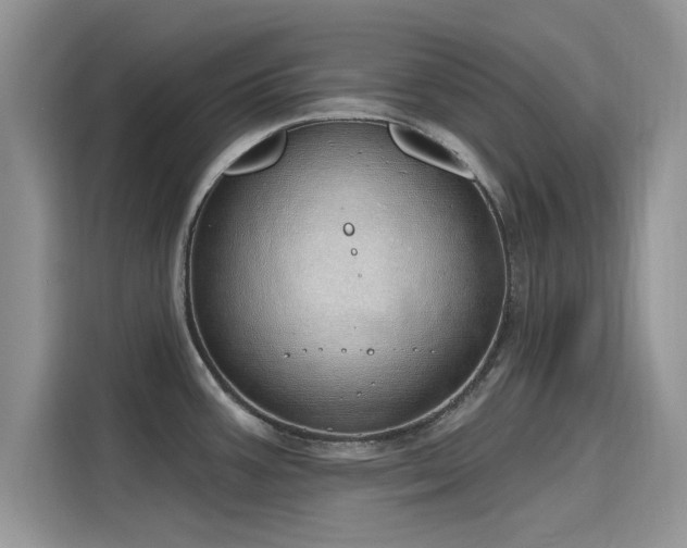 X0000116111387200911301114