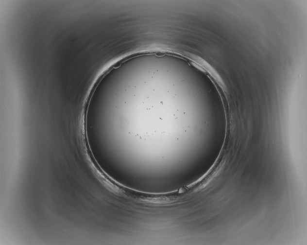 X0000116111388200911301114