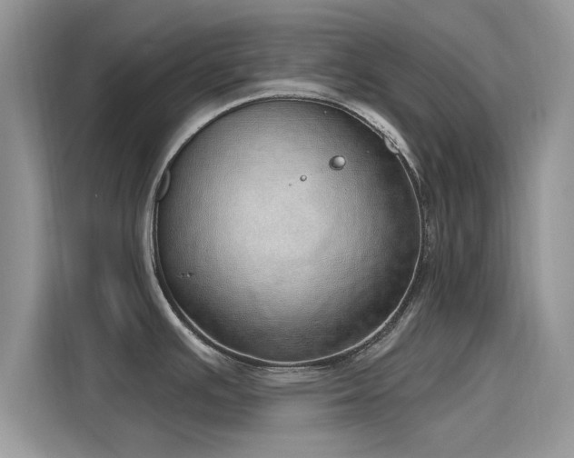 X0000116111391200911301114