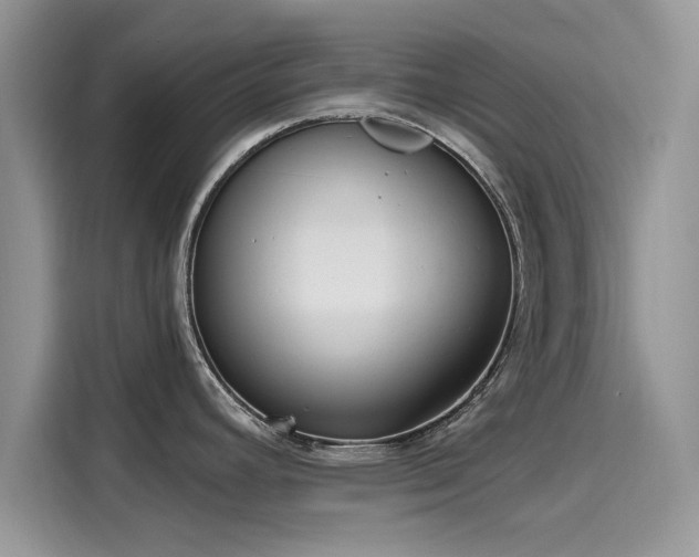 X0000116111392200911301114