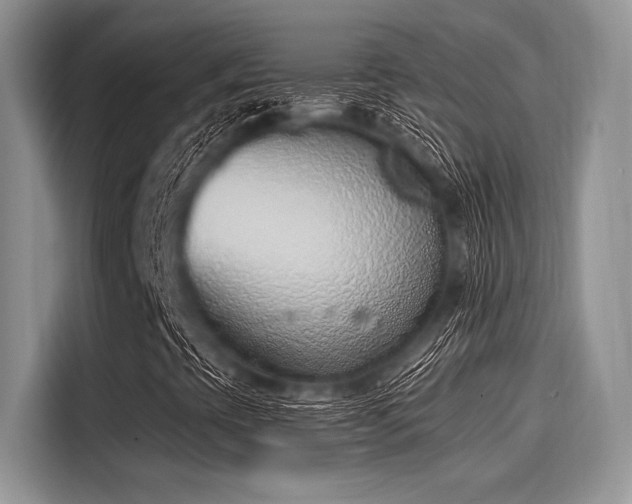 X0000116111393200911301113