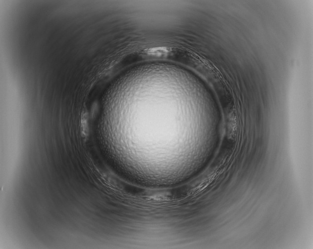 X0000116111394200911301113