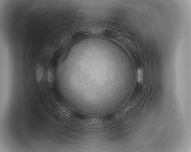 X0000116111395200911301113