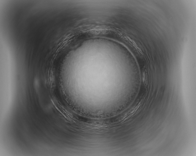 X0000116111396200911301113