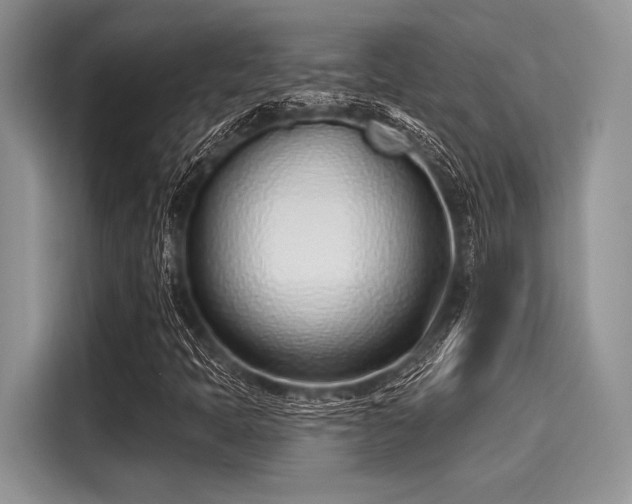 X0000116111397200911301113