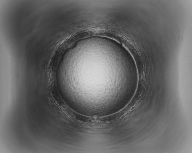 X0000116111398200911301113