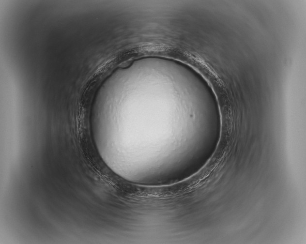 X0000116111399200911301113