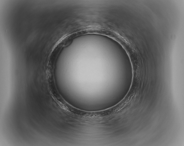 X0000116111400200911301113