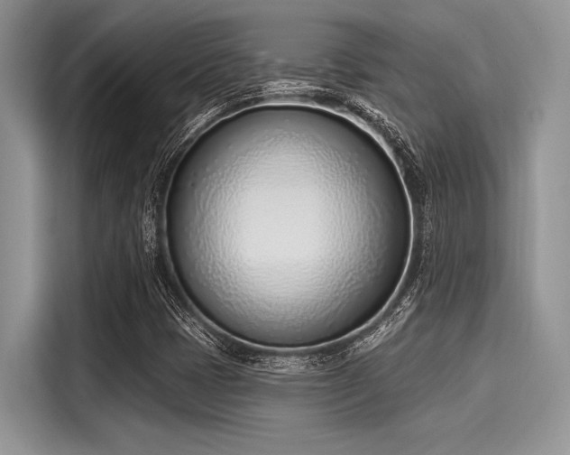 X0000116111401200911301113