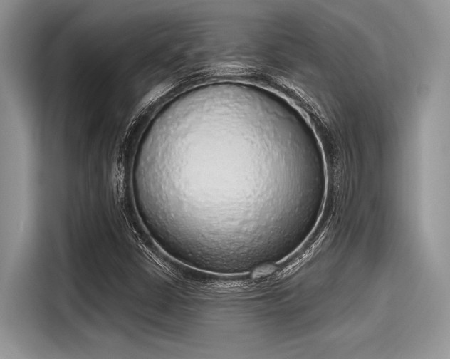 X0000116111402200911301113