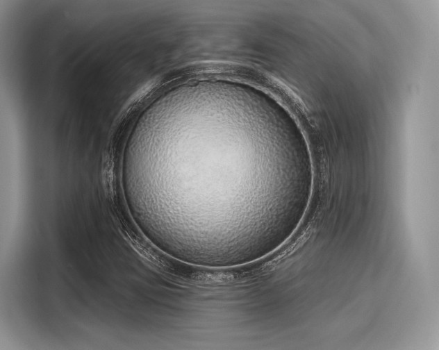 X0000116111403200911301113