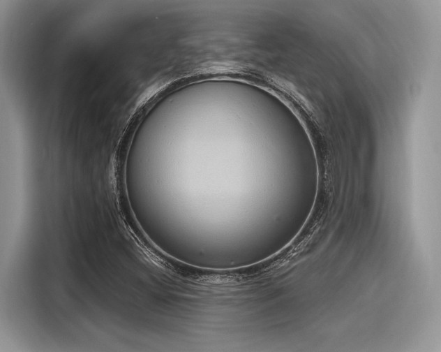 X0000116111404200911301113