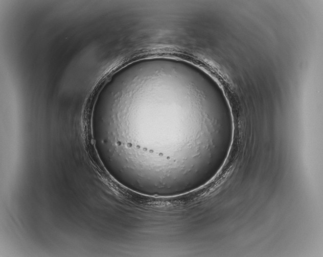 X0000116111405200911301113