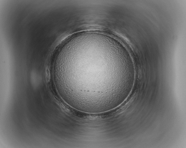 X0000116111407200911301114