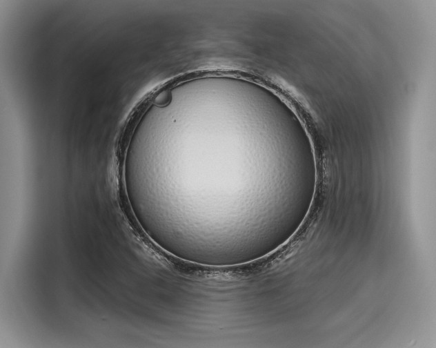 X0000116111408200911301114