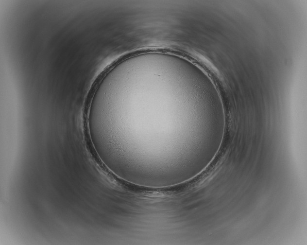 X0000116111412200911301114