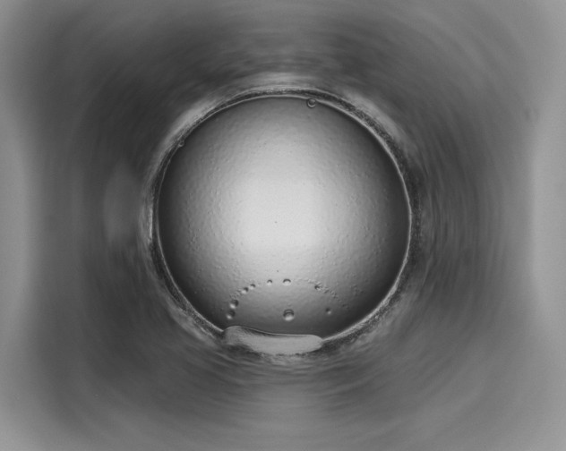 X0000116111413200911301114