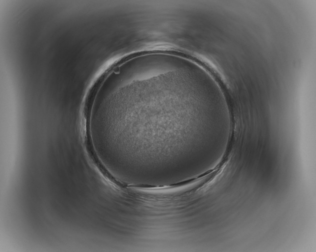 X0000116111414200911301114