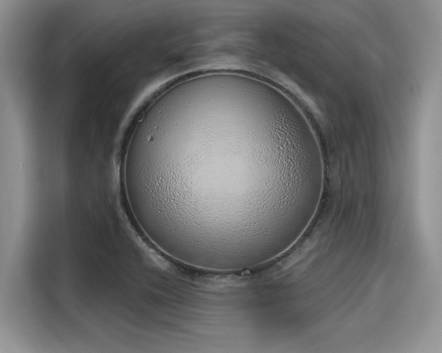 X0000116111416200911301114