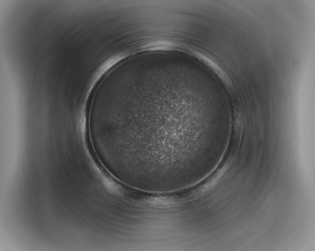 X0000116111418200911301114