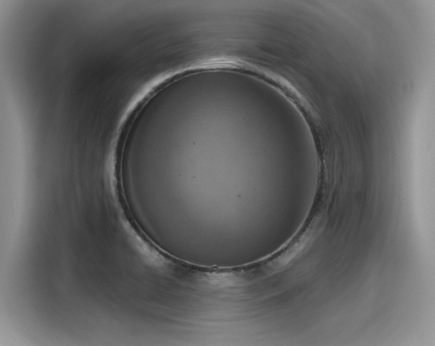 X0000116111422200911301114