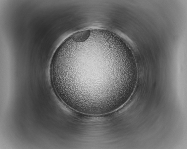 X0000116111423200911301114