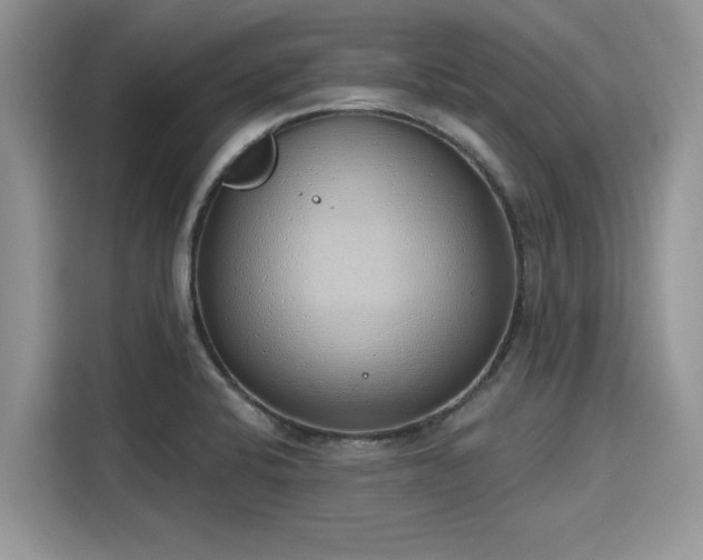 X0000116111424200911301114