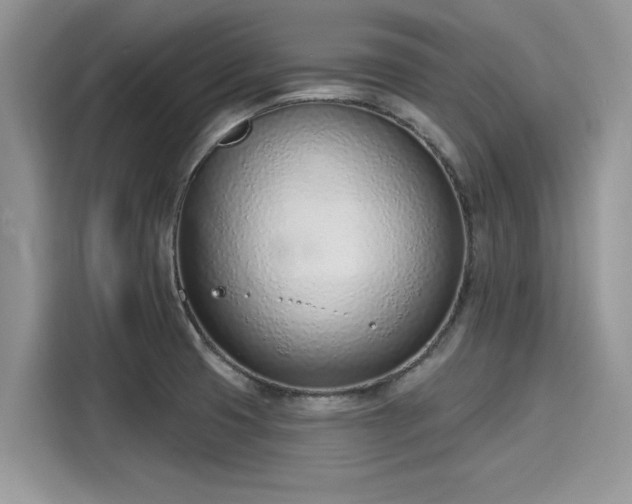 X0000116111425200911301114