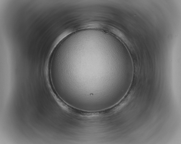 X0000116111426200911301114