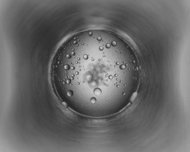 X0000116111427200911301114