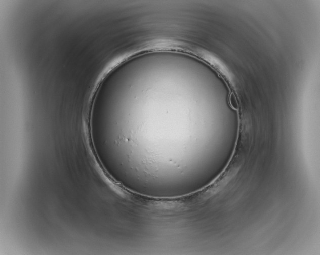 X0000116111429200911301114