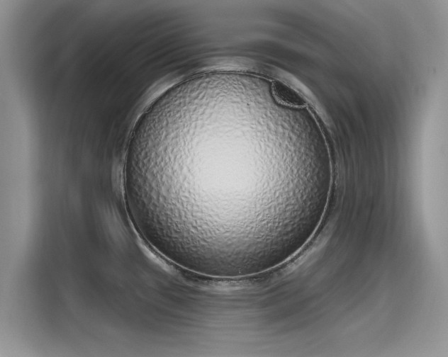 X0000116111433200911301114