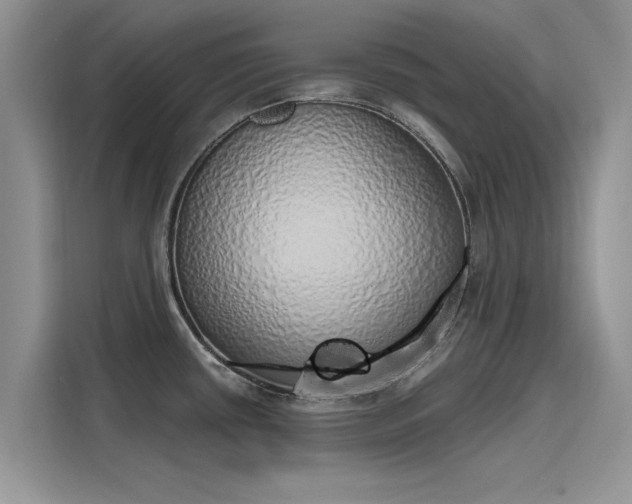 X0000116111434200911301114