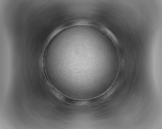 X0000116111435200911301114