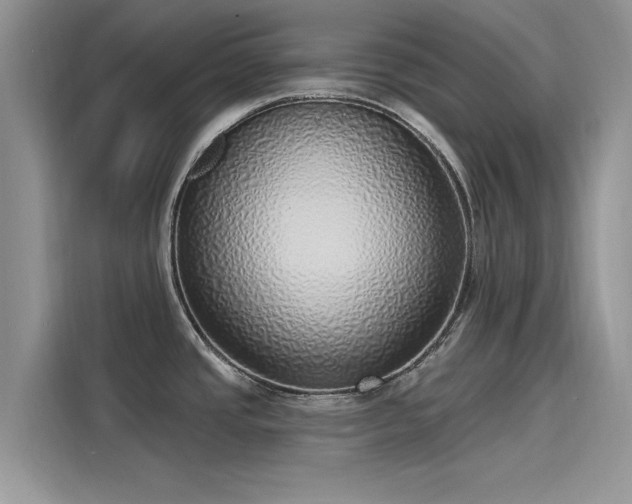 X0000116111437200911301114