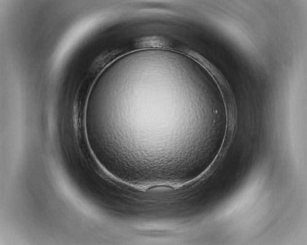 X0000116111438200911301114