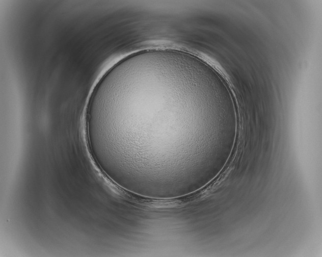 X0000116111440200911301114