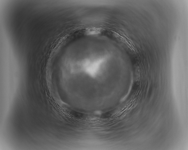 X0000116111441200911301113