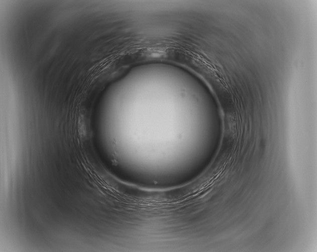 X0000116111442200911301113