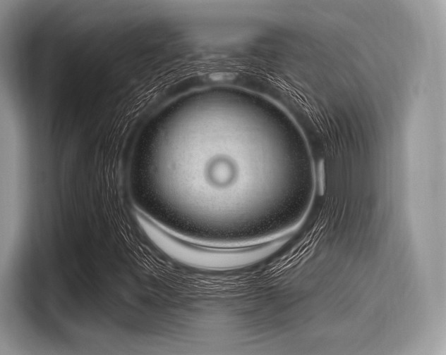 X0000116111443200911301113