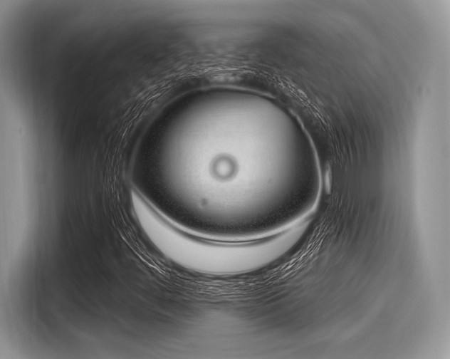 X0000116111444200911301113