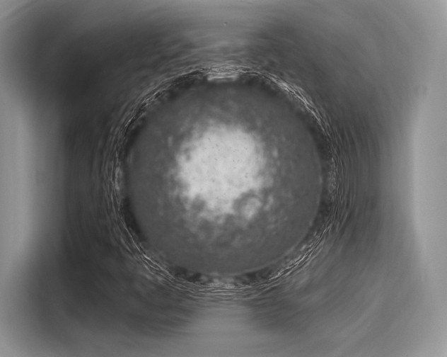 X0000116111445200911301113