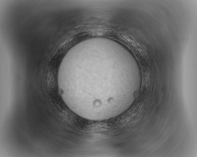 X0000116111446200911301113