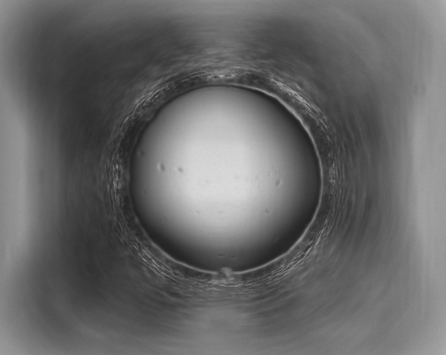 X0000116111447200911301113