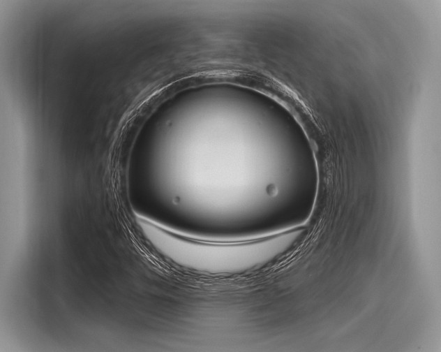 X0000116111448200911301113