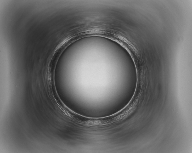 X0000116111450200911301113